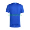 Maillot de Foot Argentine Extérieur Copa America 2024